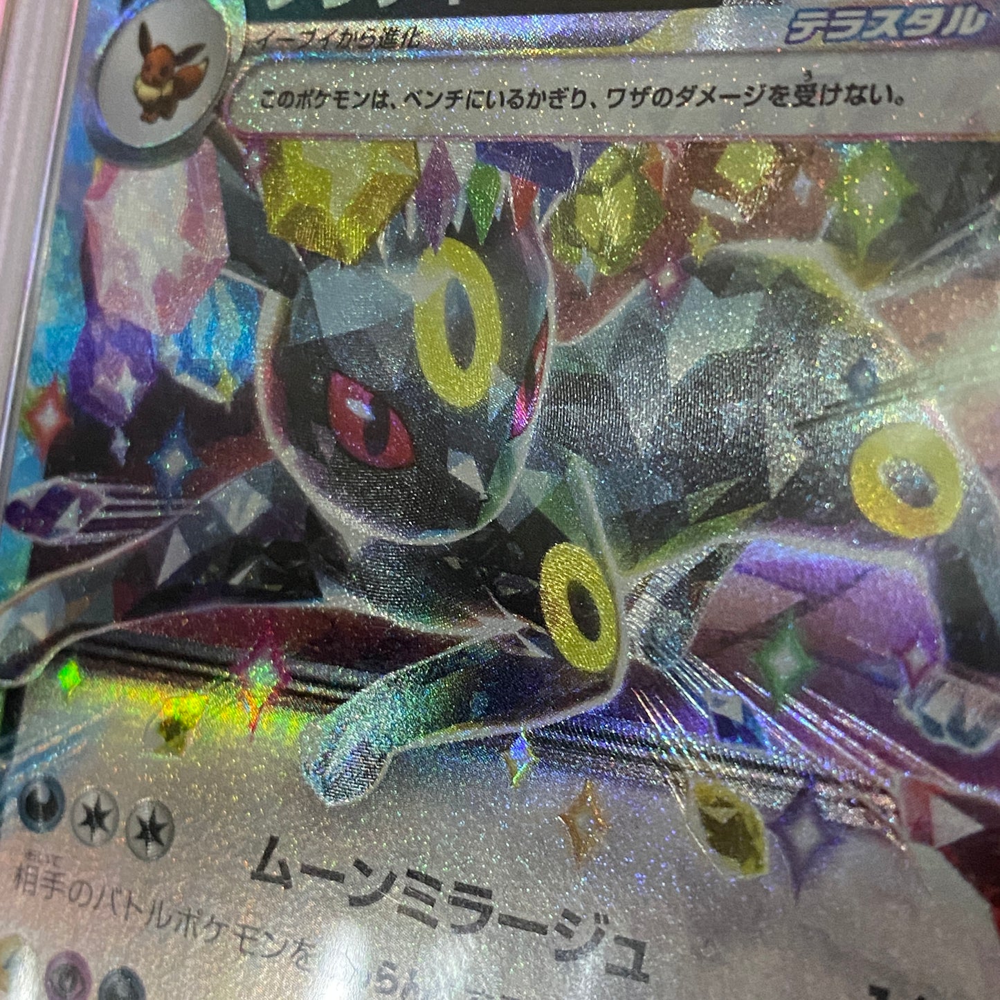 PSA 10 Umbreon EX Japones