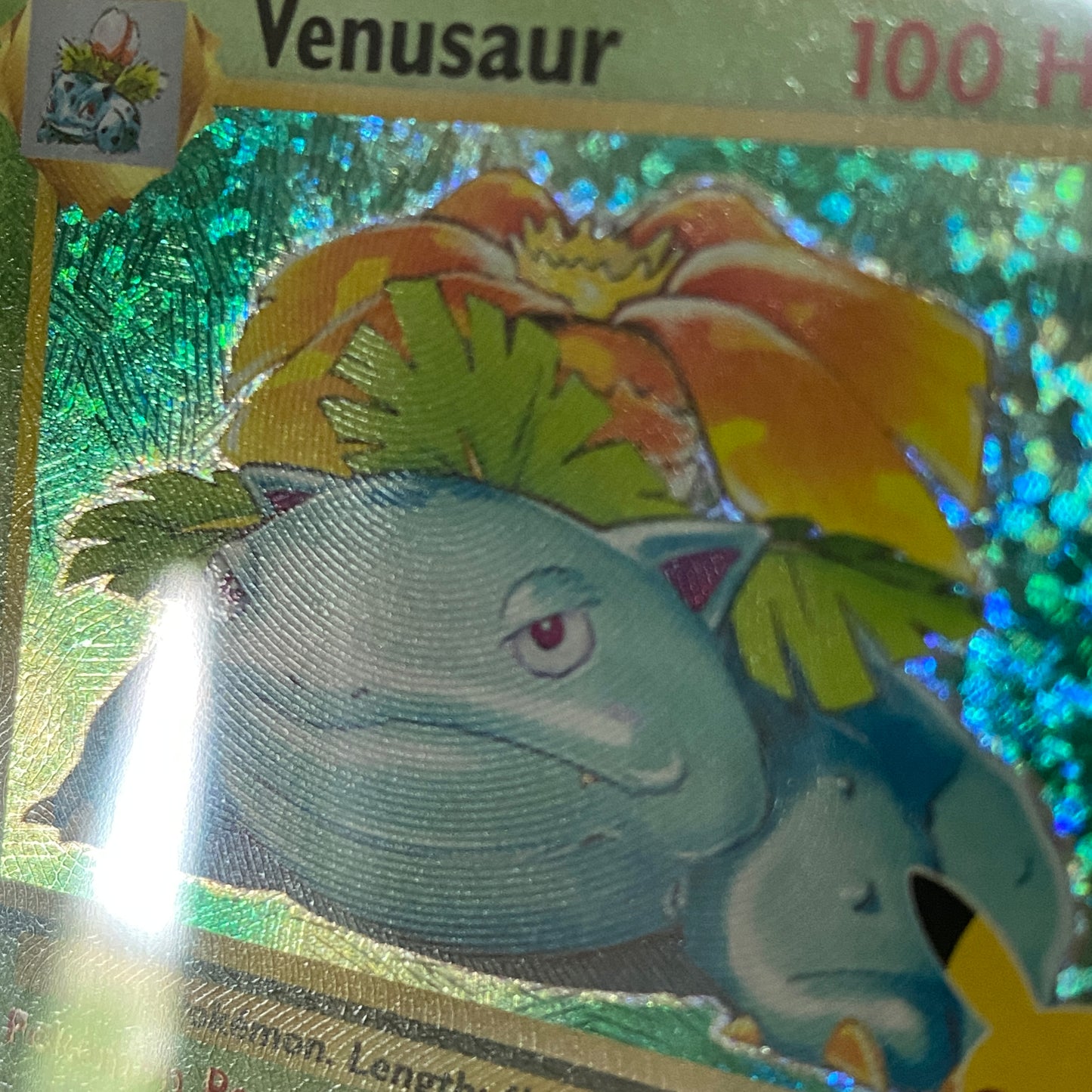 PSA 10 Venusaur Celebrations Classic Collection