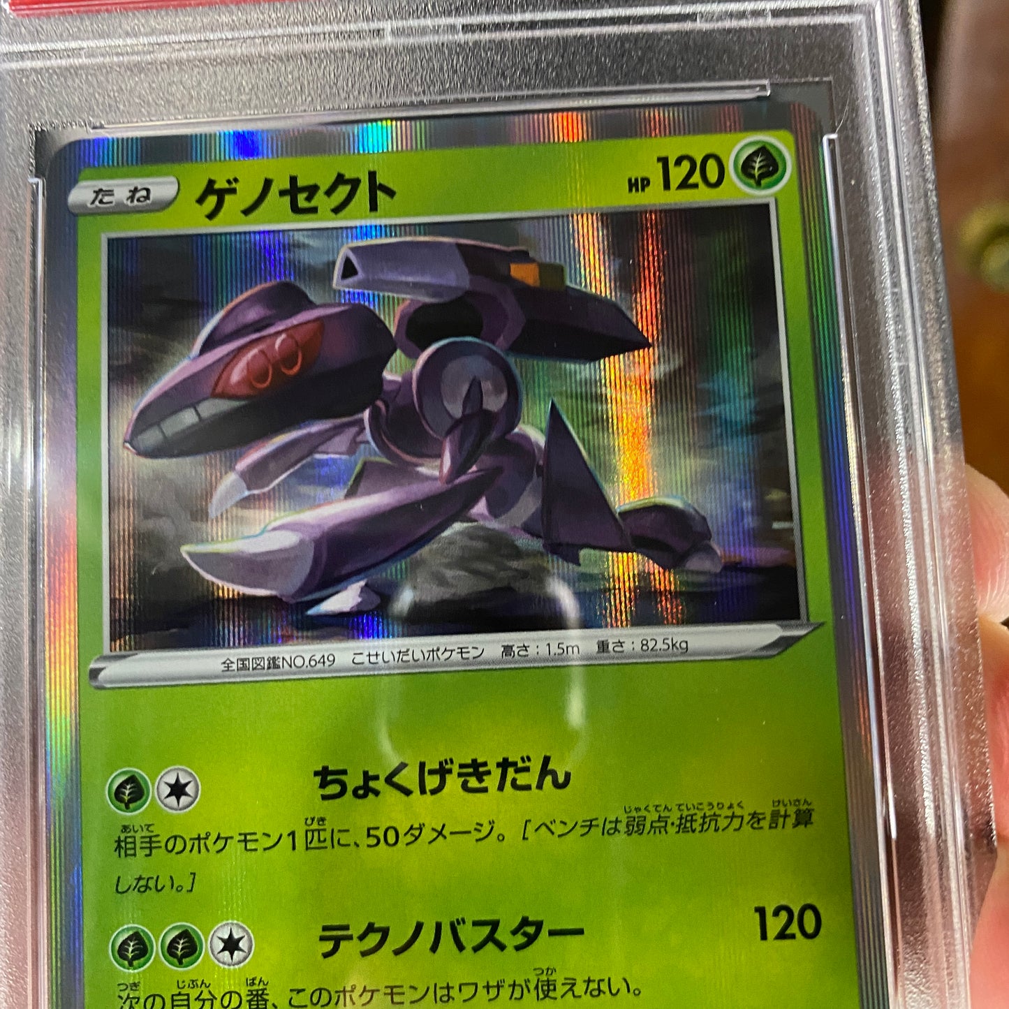 PSA 10 Genesect Holo Promo Japnes Triple Starter Deck