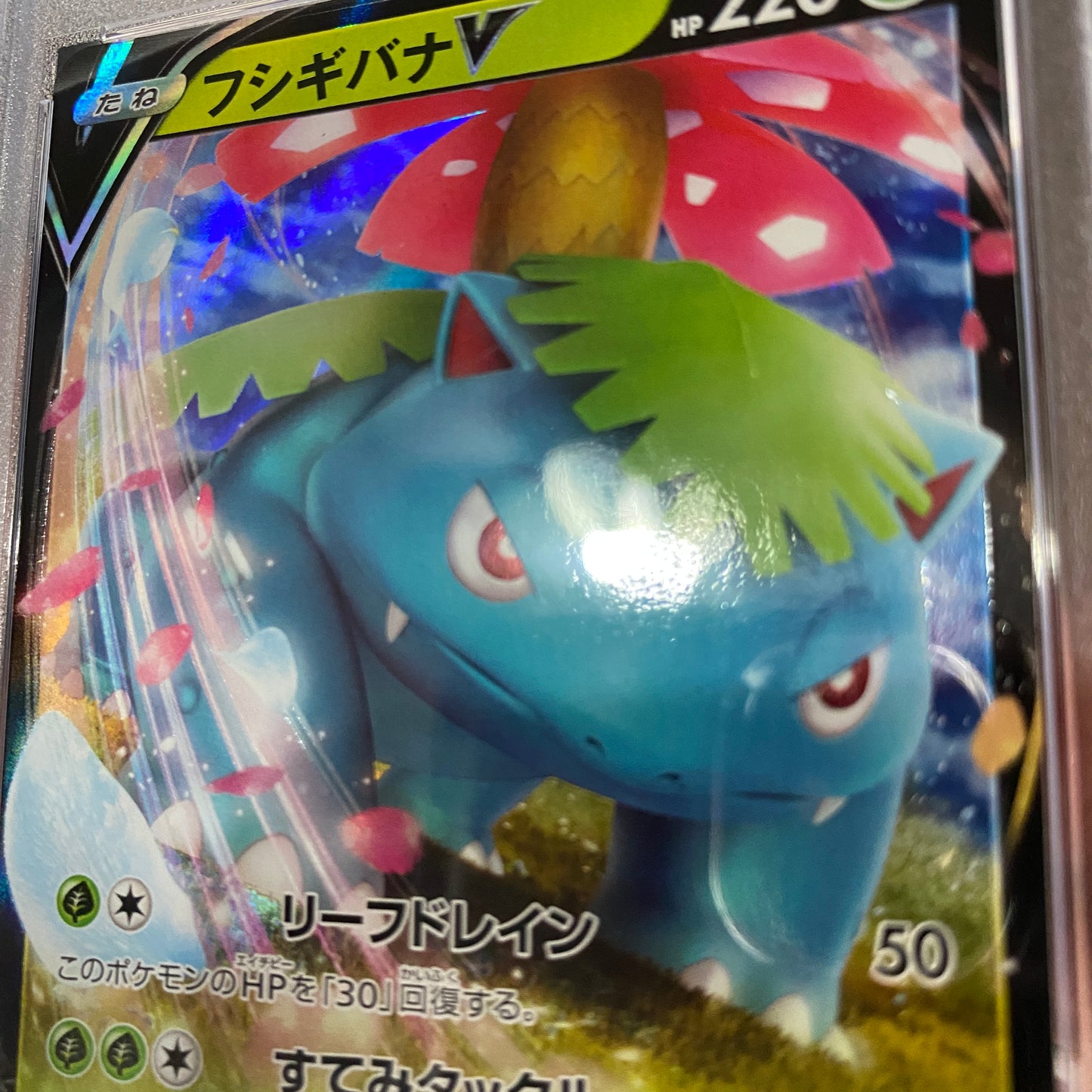 PSA 10 Venusaur V Japones