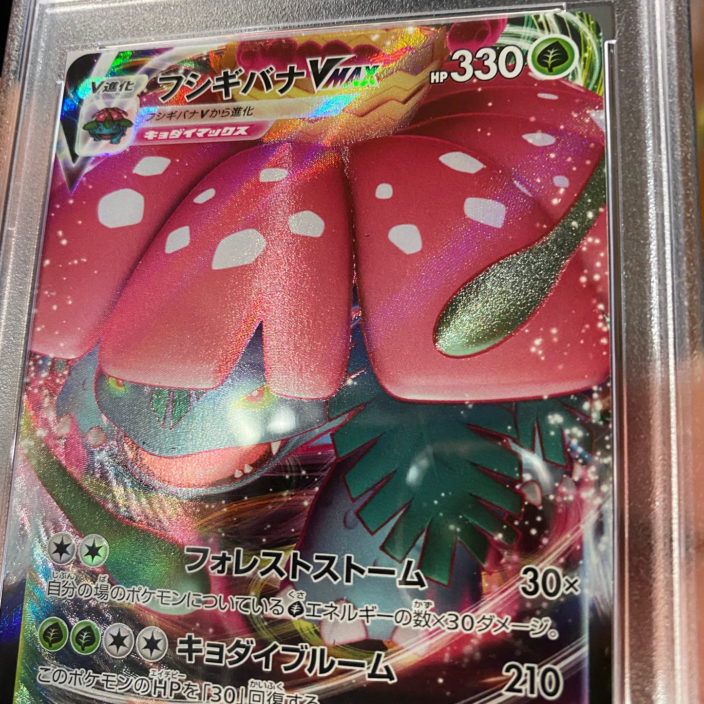 PSA 10 Venusaur VMAX Japones