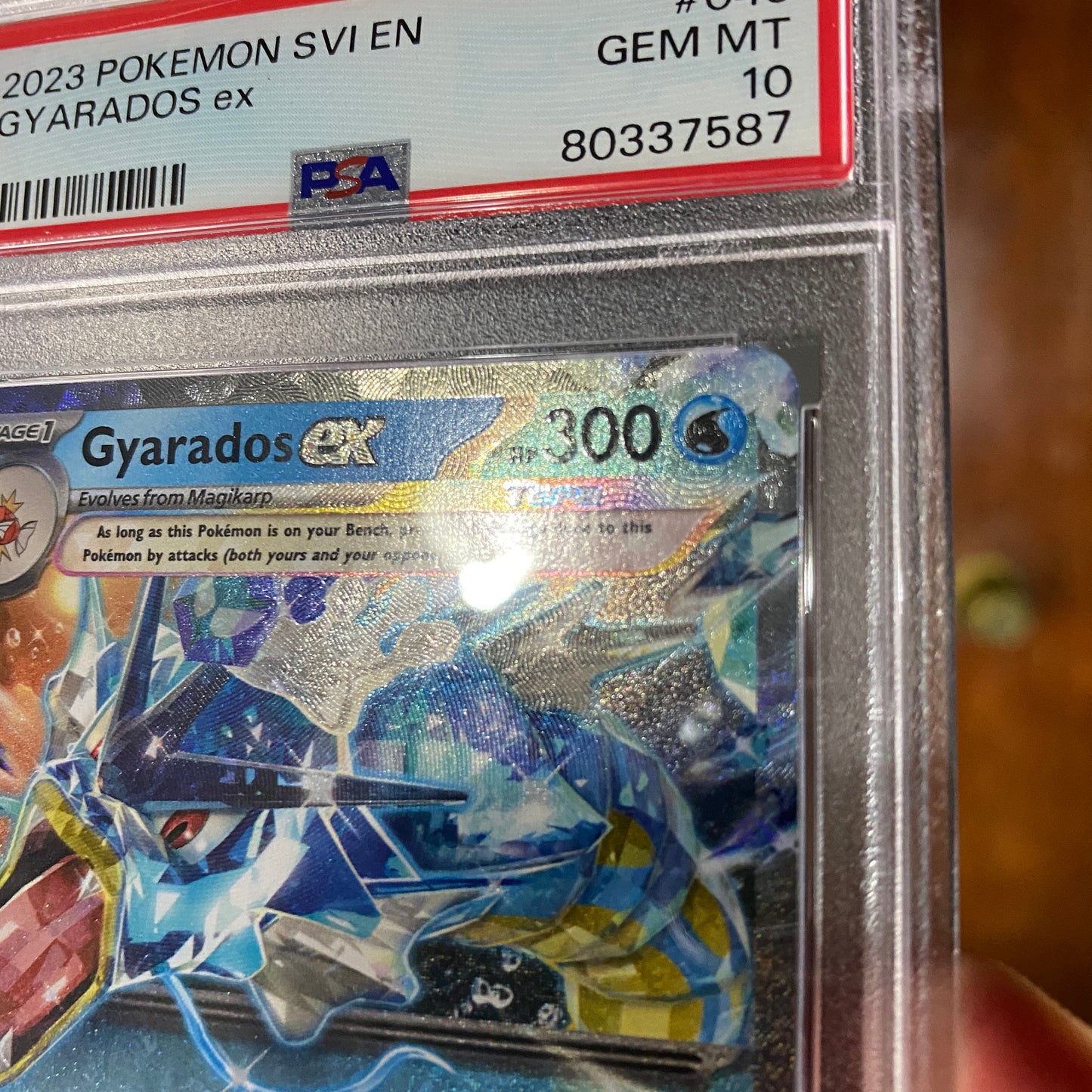 PSA 10 Gyarados EX Scarlet and Violet