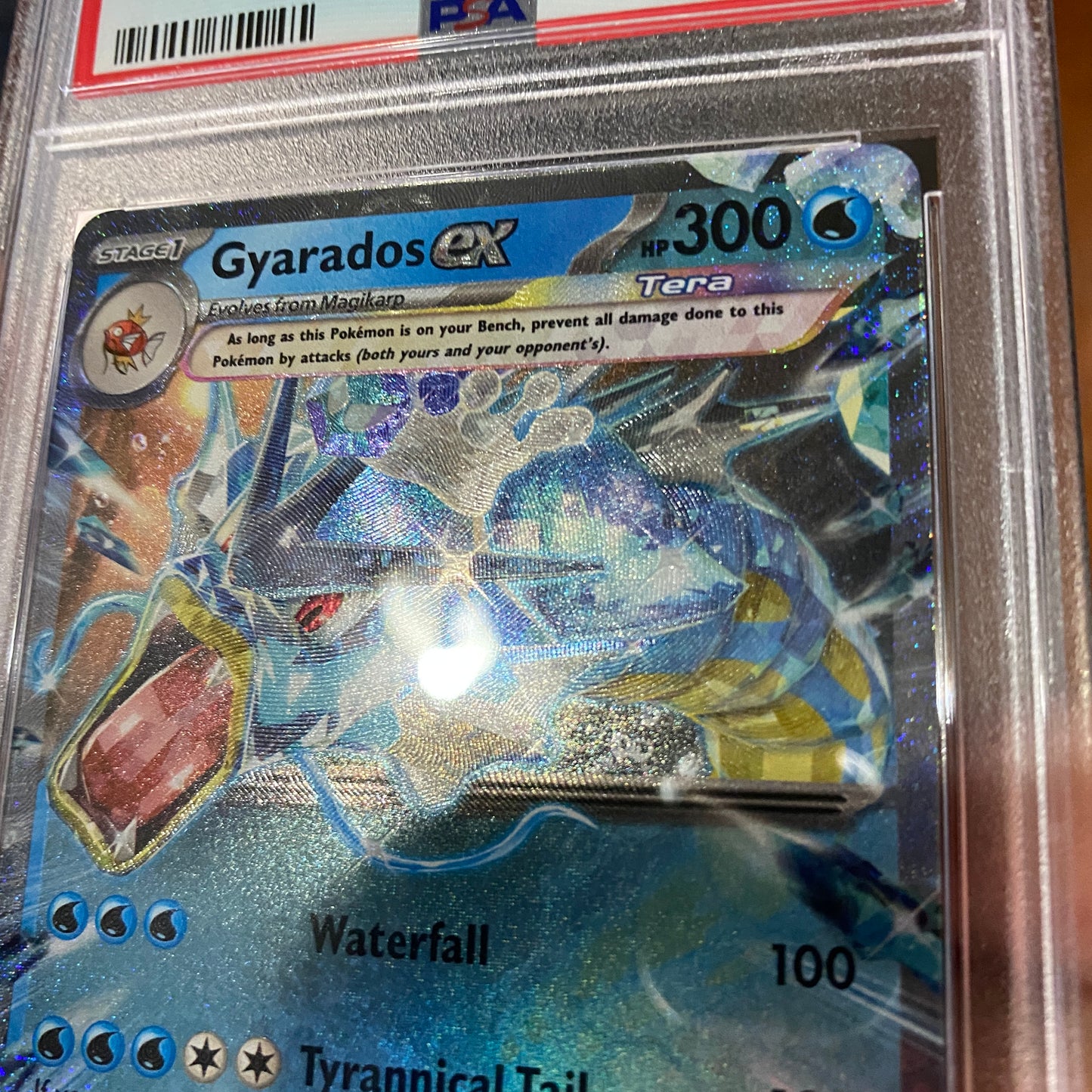 PSA 10 Gyarados EX Scarlet and Violet