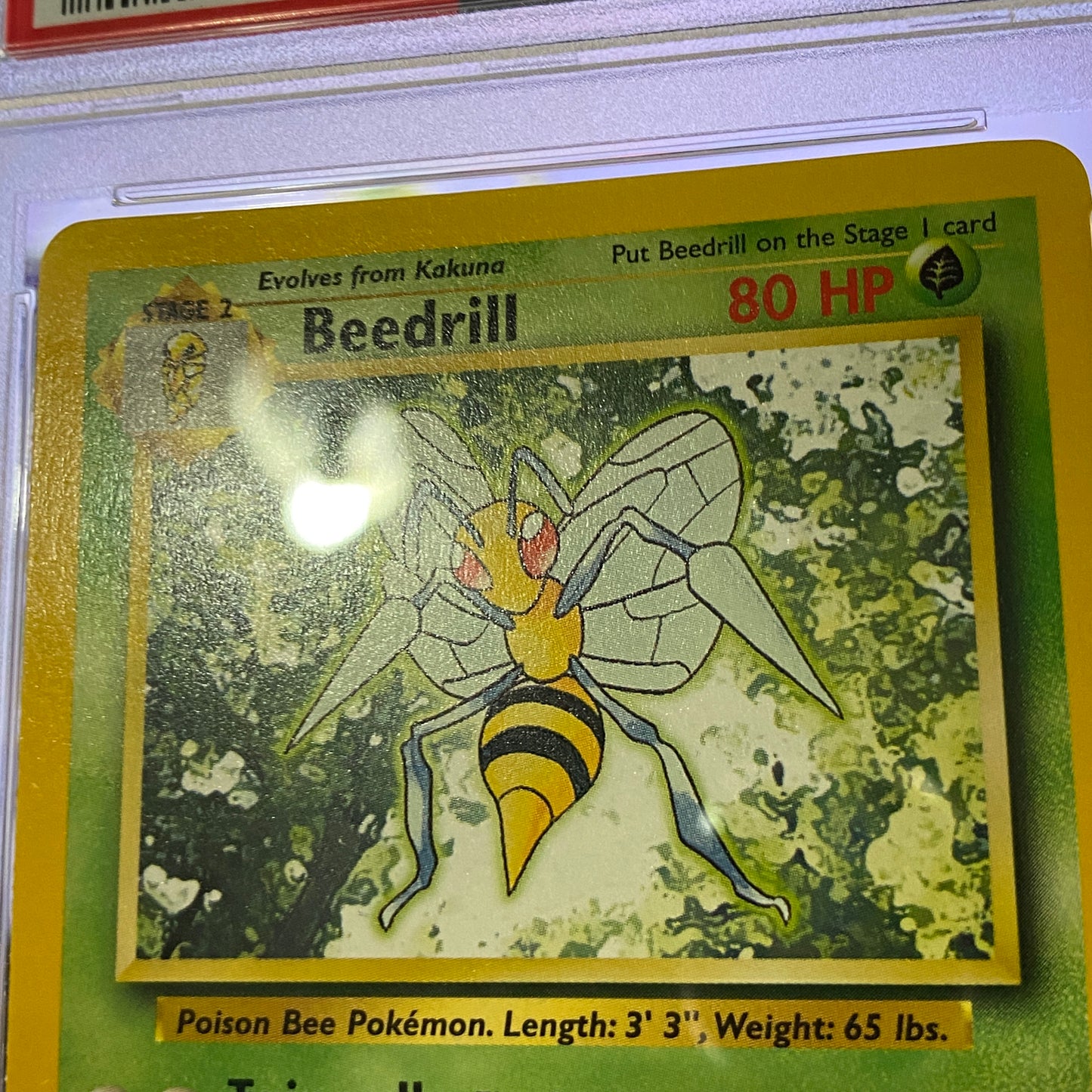 PSA 9 1999 Beedrill Base Set