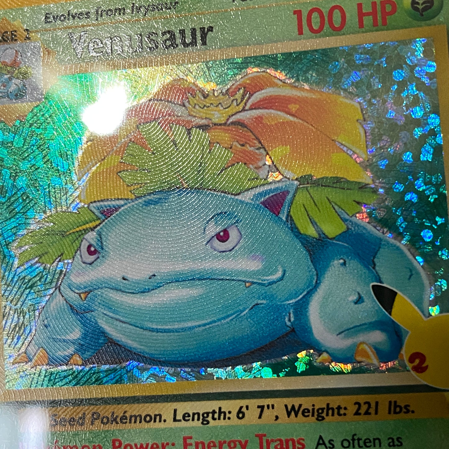 PSA 8 Venusaur Celebrations Classic Collection