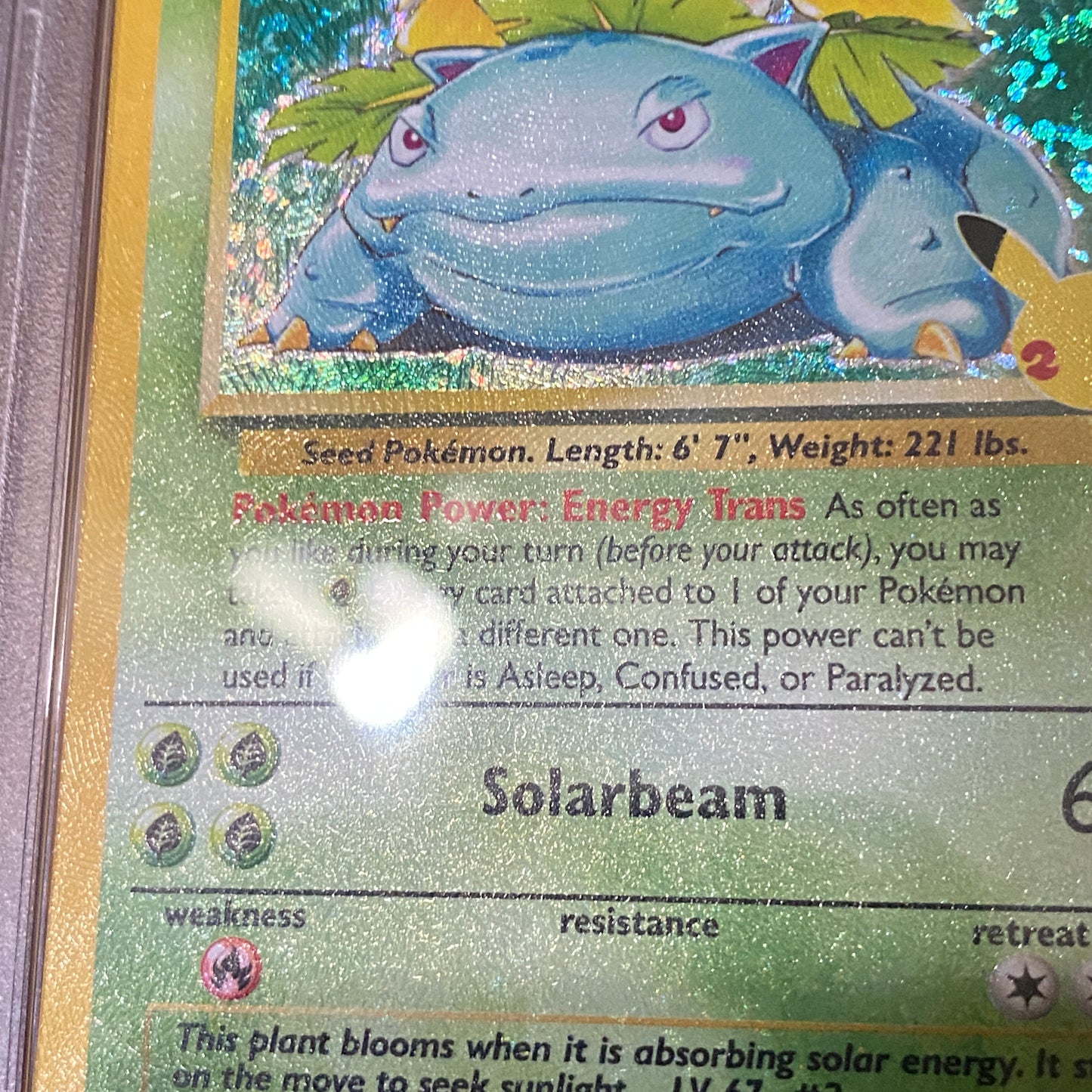 PSA 10 Venusaur Celebrations Classic Collection