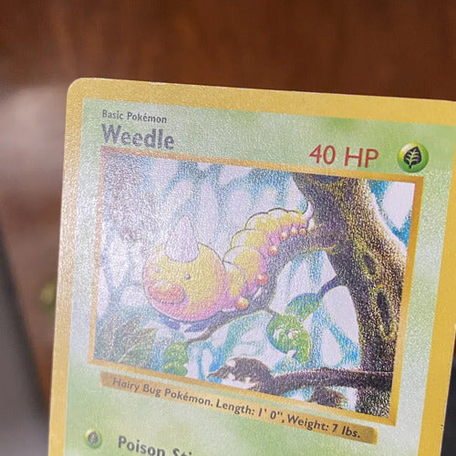 Hp Weedle Shadowless Cartas Pokemon Tcg Vintage B Weedle Inglés