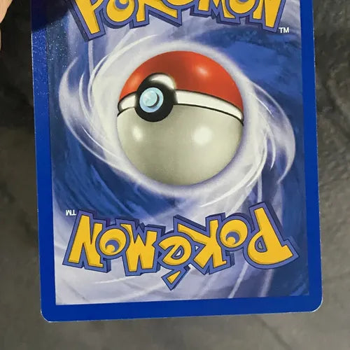 Nm Zubat Neo Revelation Cartas Tcg Pokemon Vintage Zubat Inglés