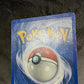 Hp Exeggcute Jungle Cartas Tcg Pokemon Vintage Exeggcute Inglés