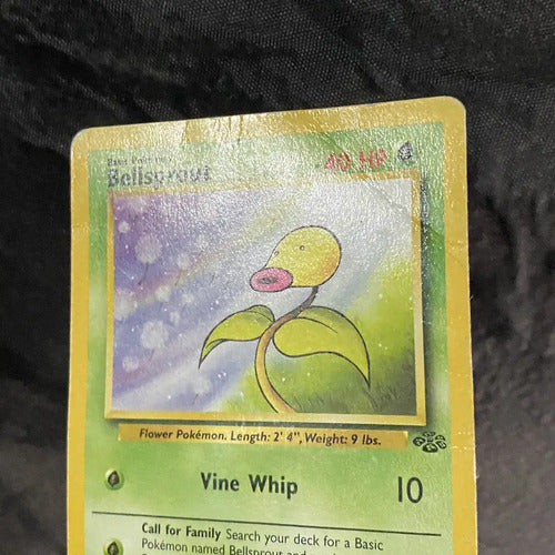 Damaged Bellsprout Jungle Cartas Tcg Pokemon Vintage B Bellsprout Inglés