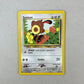 Nm Sentret Neo Discovery Cartas Tcg Pokemon Vintage Sentret Inglés