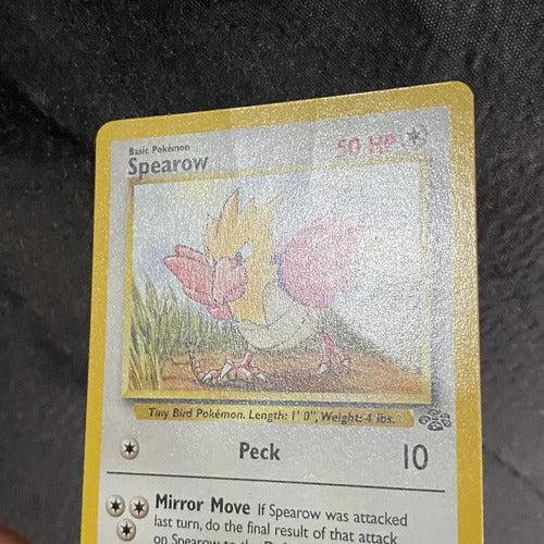 Damaged Spearow Jungle Cartas Tcg Pokemon Vintage B Spearow Inglés