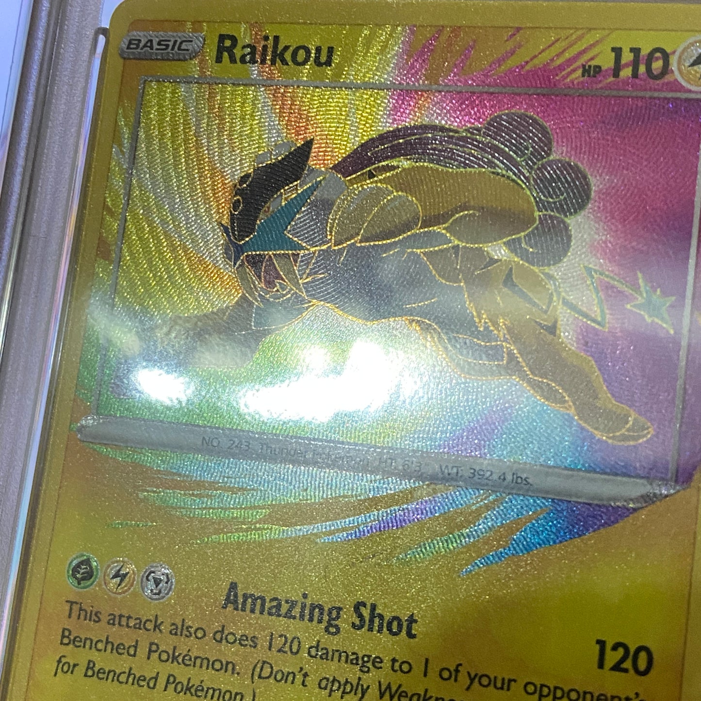 PSA 10 Raikou Amazing Rare Vivid Voltage