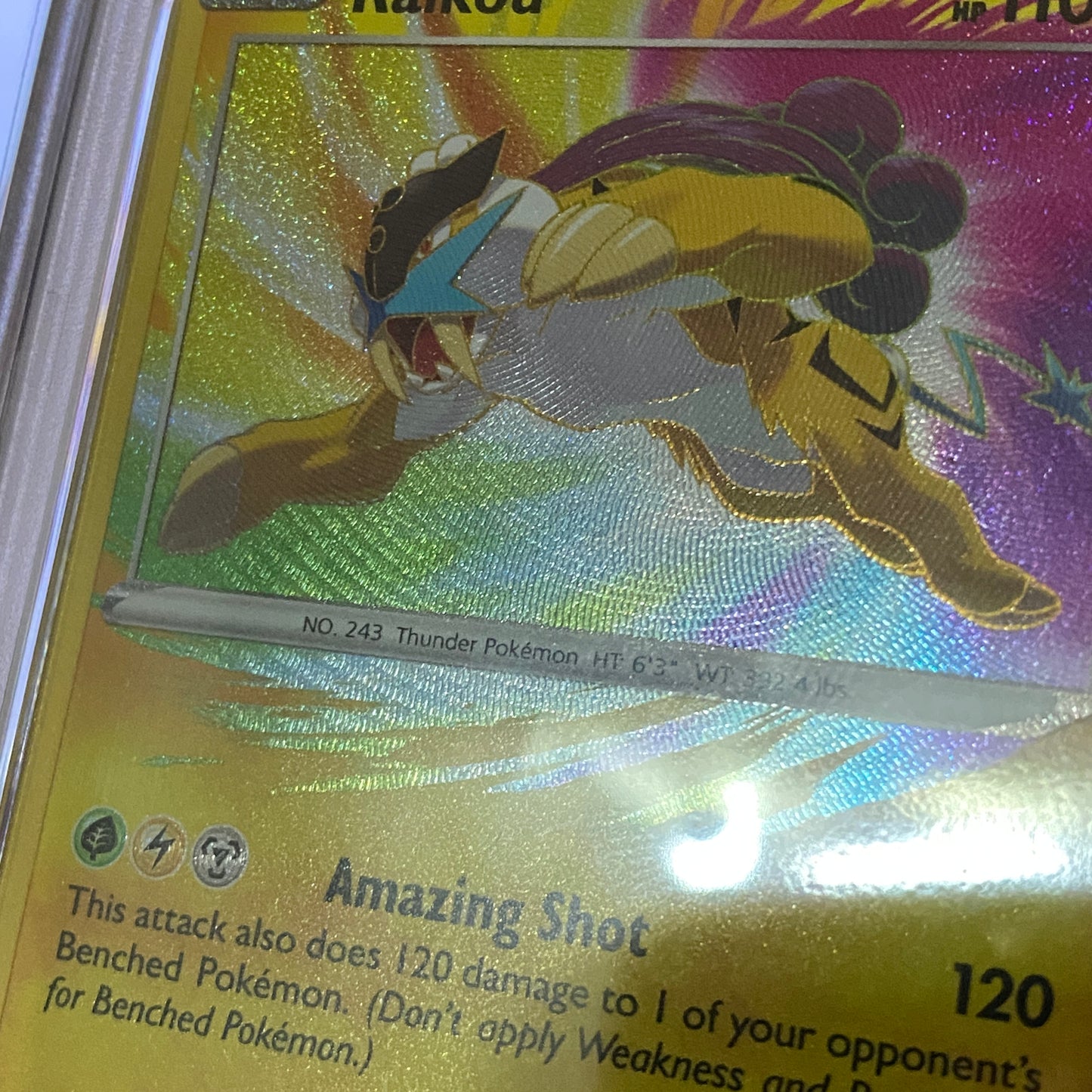 PSA 10 Raikou Amazing Rare Vivid Voltage