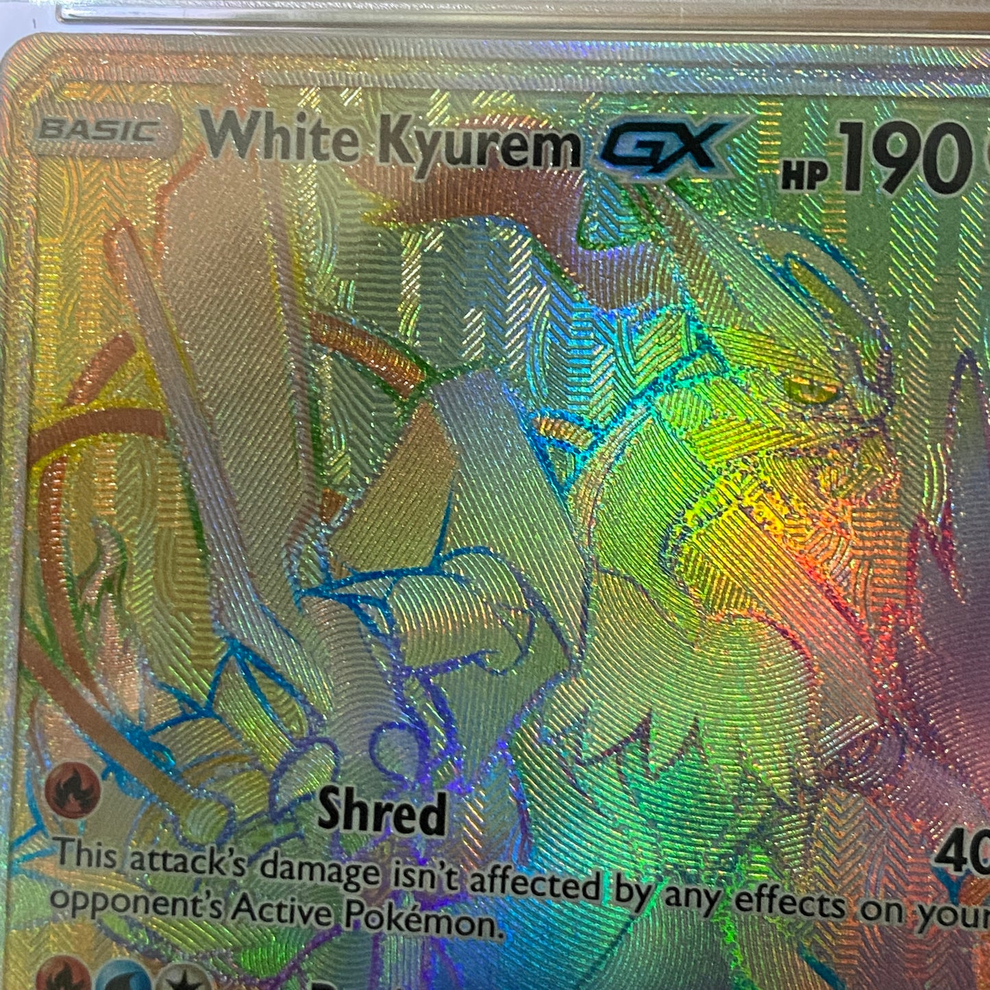 PSA 10 White Kyurem GX Dragon Majesty