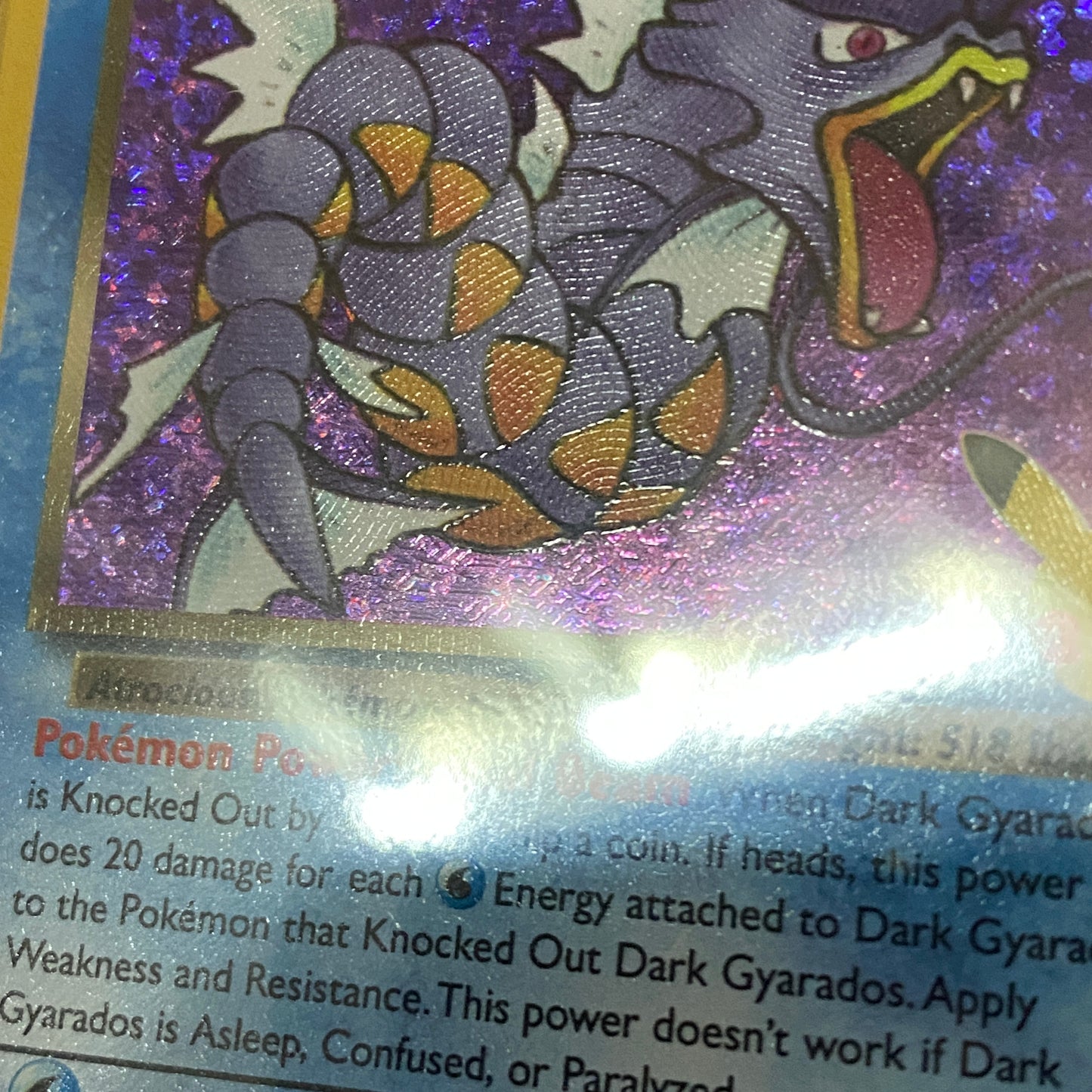 PSA 10 Dark Gyarados Celebrations Classic Collection