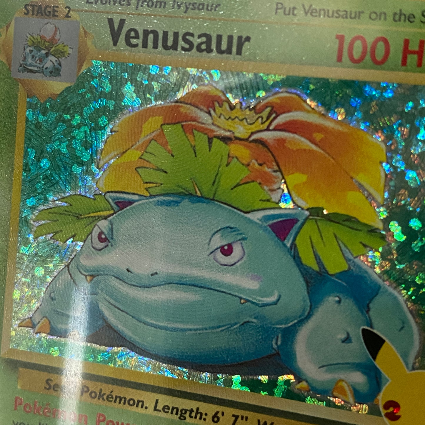 PSA 10 Venusaur Celebrations Classic Collection