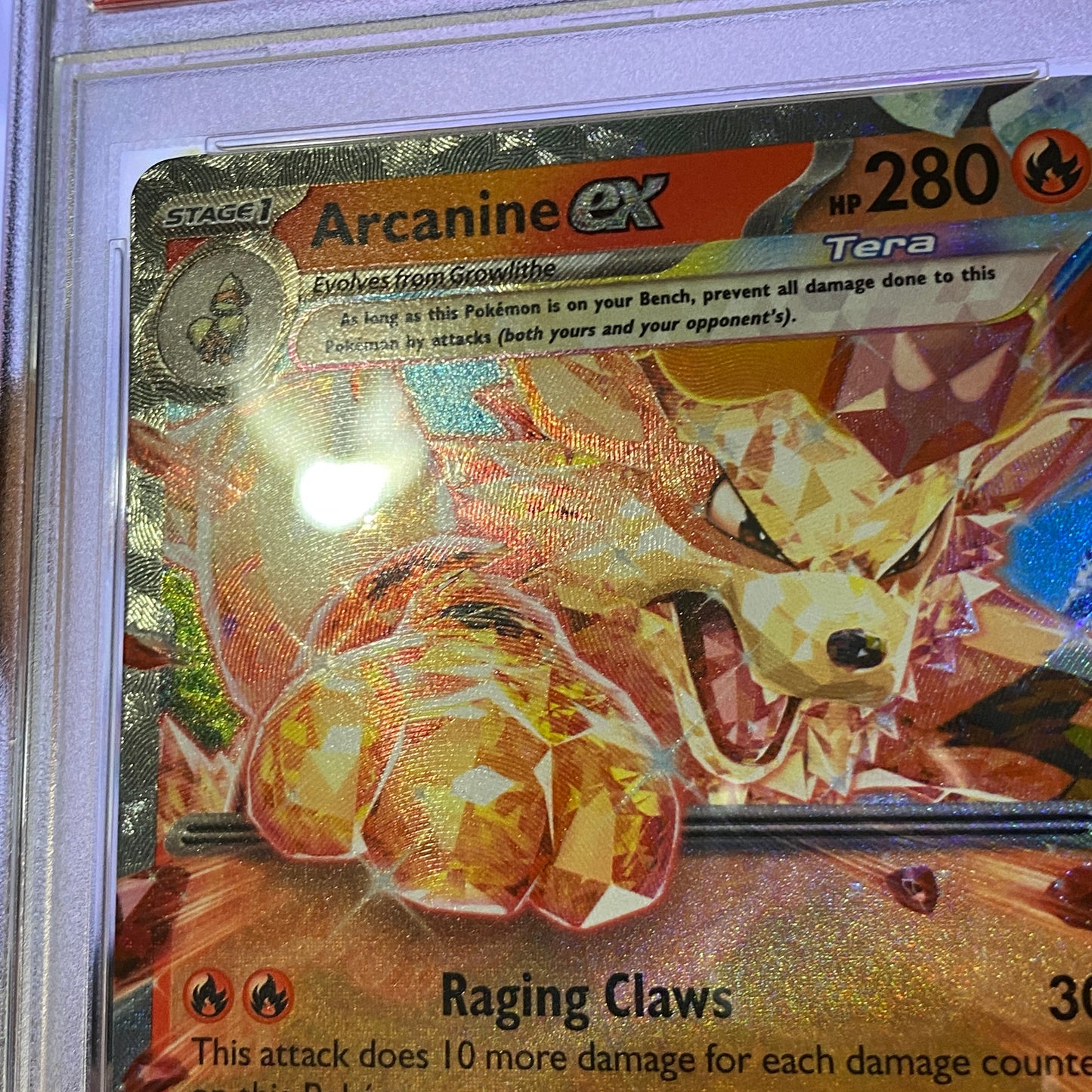 PSA 10 Arcanine EX Scarlet and Violet